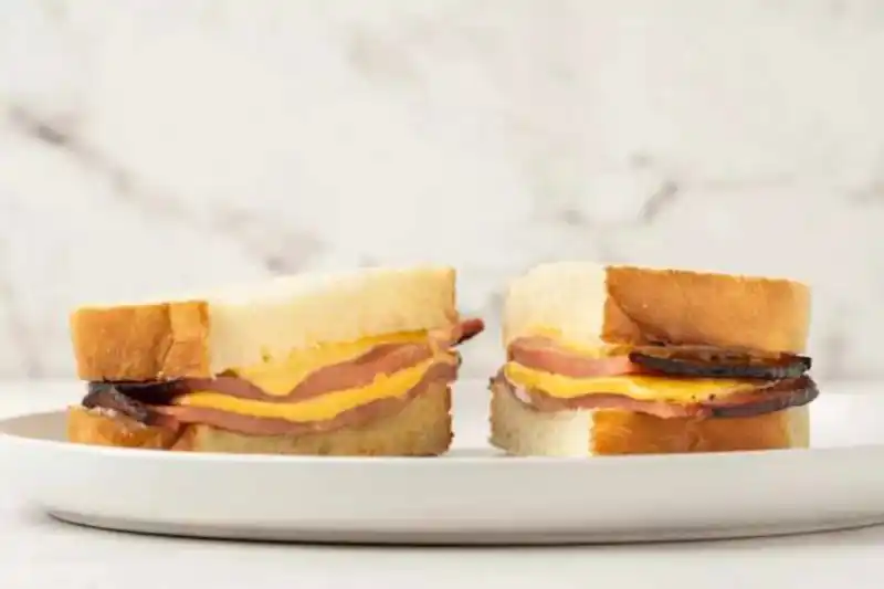 Bologna and Cheese Sandwich