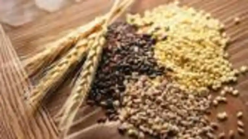 What are whole grains and what do they include?