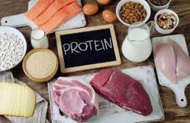 پروتئین.jpg
